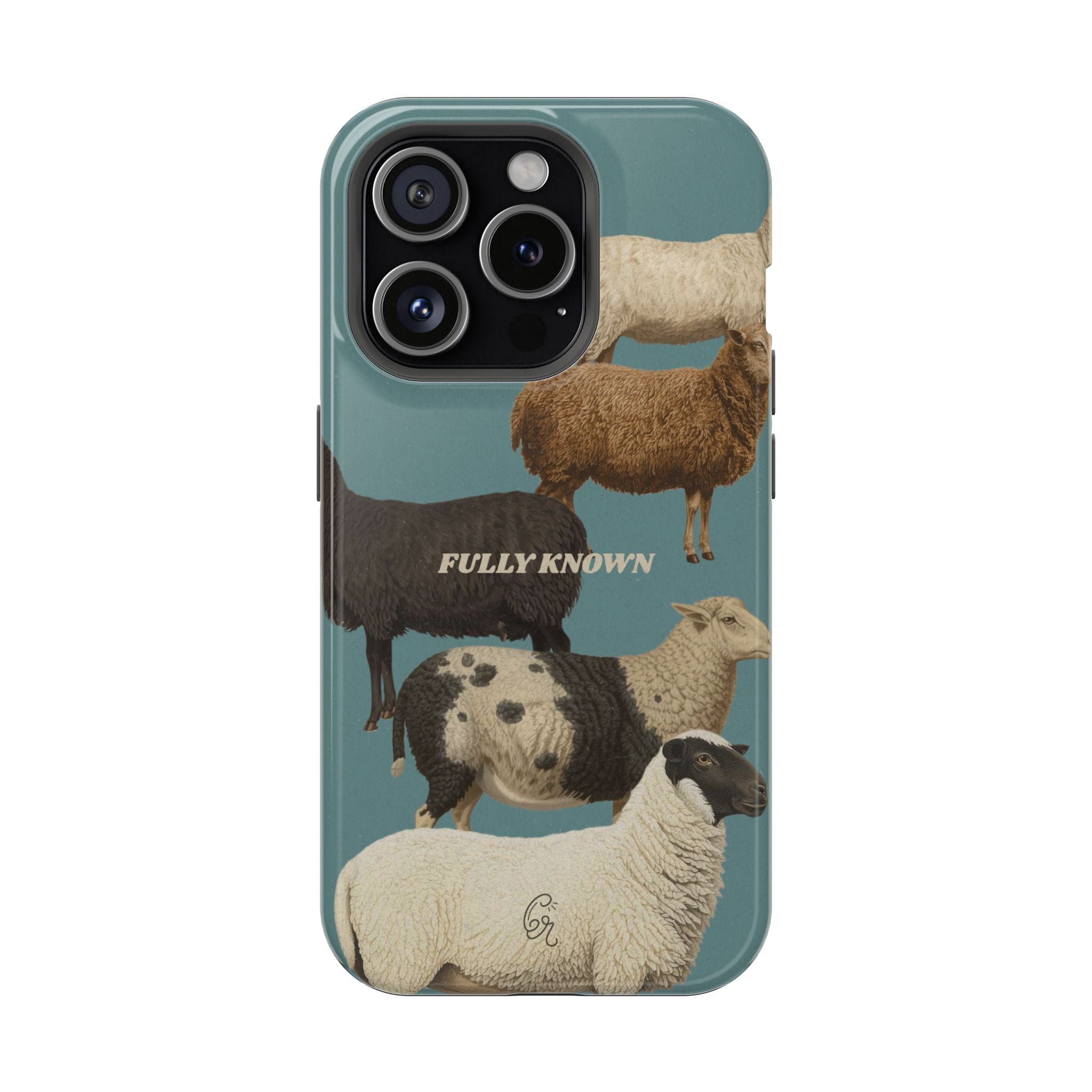 Blue Fully Known Case Blue Fully Known Case